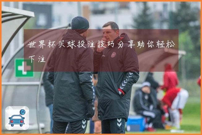 世界杯买球投注技巧分享助你轻松下注