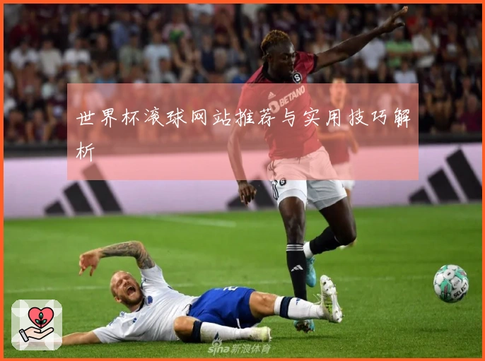 世界杯滚球网站推荐与实用技巧解析