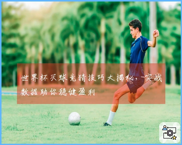 世界杯买球竞猜技巧大揭秘，实战数据助你稳健盈利