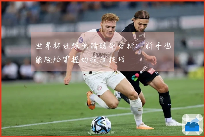 世界杯让球竞猜赔率分析：新手也能轻松掌握的投注技巧