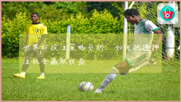 世界杯投注策略分析：如何把握押注机会赢取收益