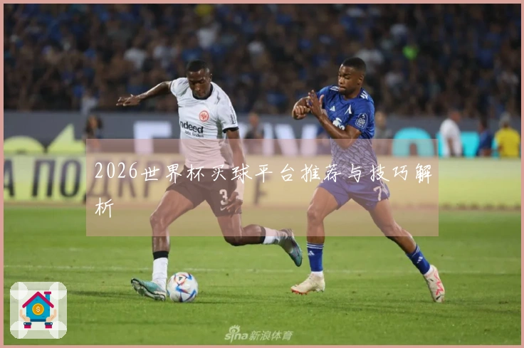 2026世界杯买球平台推荐与技巧解析