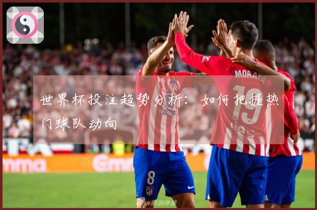 世界杯投注趋势分析：如何把握热门球队动向